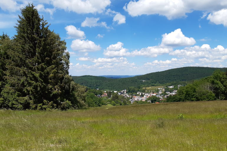 Landschaft im Hochtaunus, nahe Schmitten