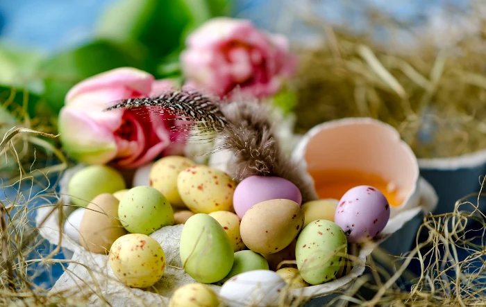 Ostern 2026 - bunt gefärbte Ostereier mit blühenden Tuplen im Hintergrund